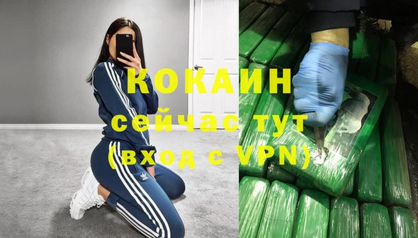гидра Балахна